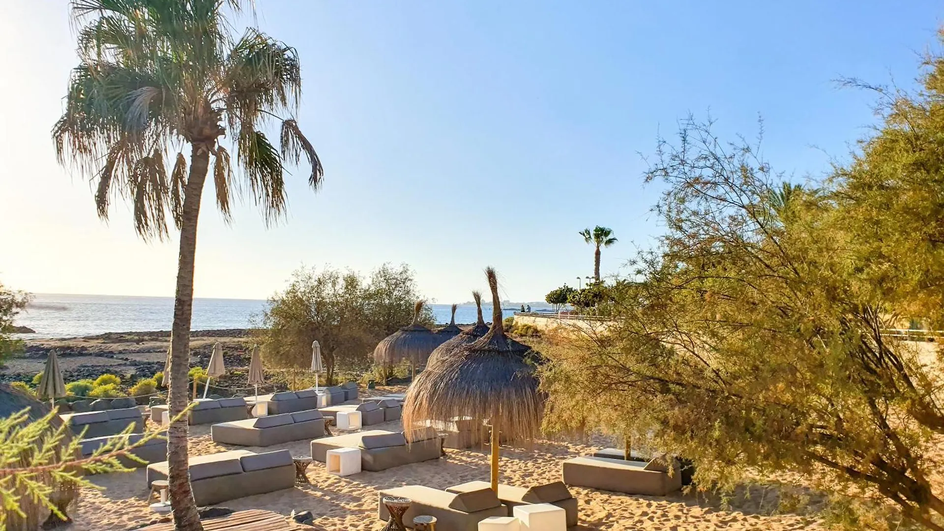 شقة Ocean View With Sunset In Palm Mar- Pool- Wifi - Parking إسبانيا